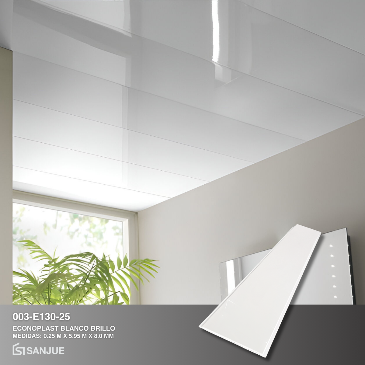 003-E130-25 BRILLO 2